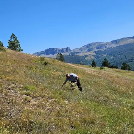 Hytte Wild Peak Camp Volujak *